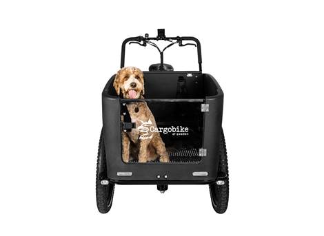 Cargobike Flex Nova Dog – Frontansicht mit Hund in der Nova-Box