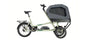 CHIKE e-Dog Lastenrad Salbei