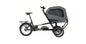 CHIKE e-Dog Lastenrad Schwarz