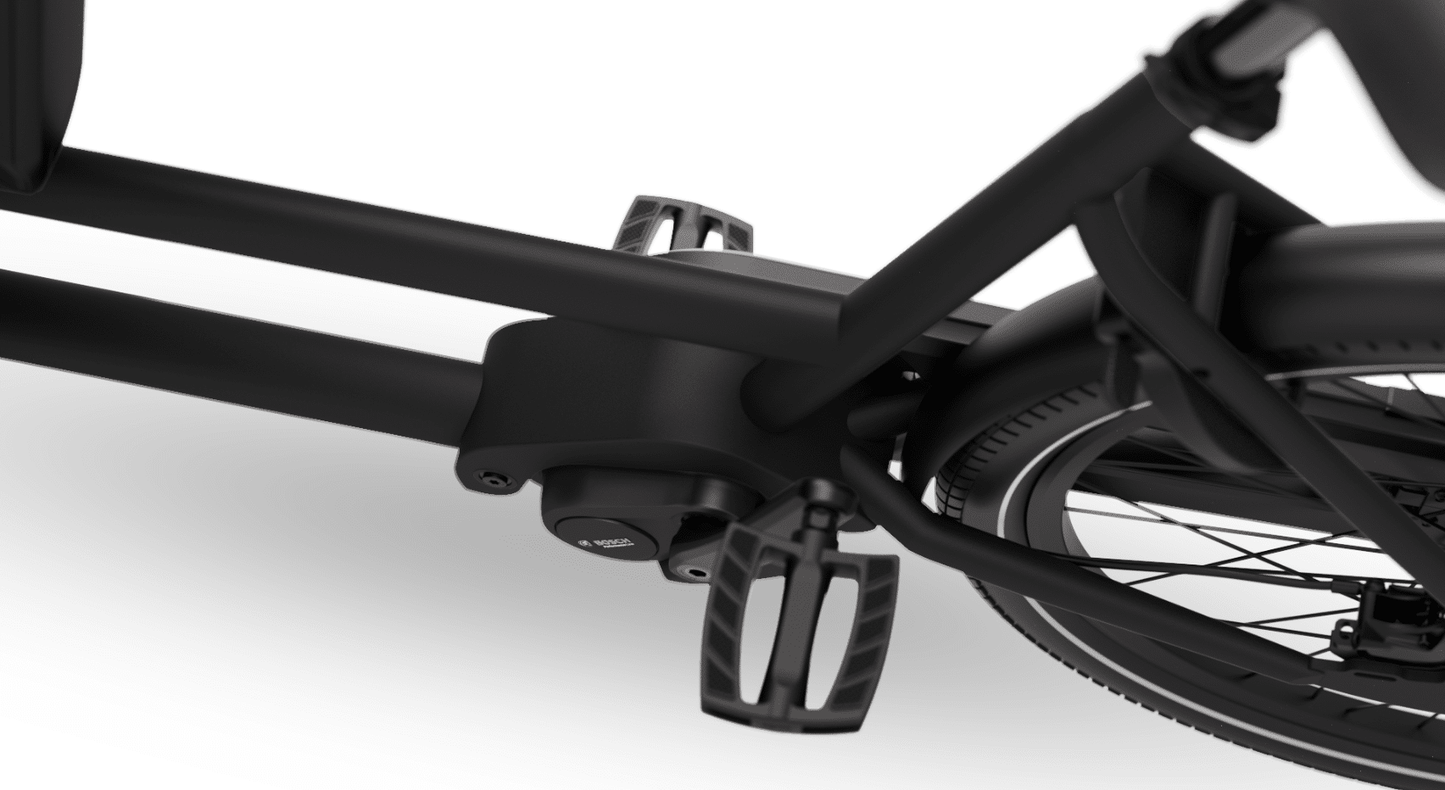 Dolly Joy Lastenrad in Black Graphite, Transportbox