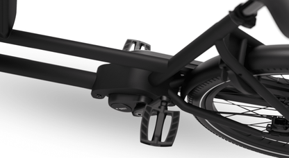 Dolly Joy Lastenrad in Black Graphite, Transportbox