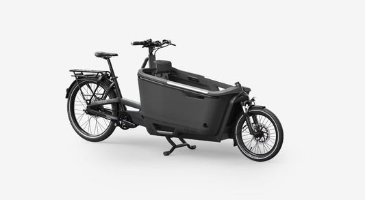 Ca Go FS150 Life Family - Edition 5 - Lastenrad