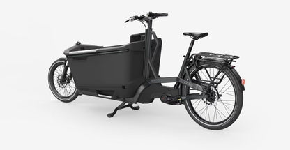 Ca Go FS150 Life Family - Edition 5 - Lastenrad