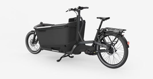 Ca Go FS150 Life Family - Edition 5 - Lastenrad