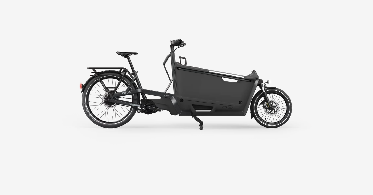Ca Go FS150 Life Family - Edition 5 - Lastenrad