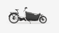 Ca Go FS200 Life EX - Edition 5 - Lastenrad