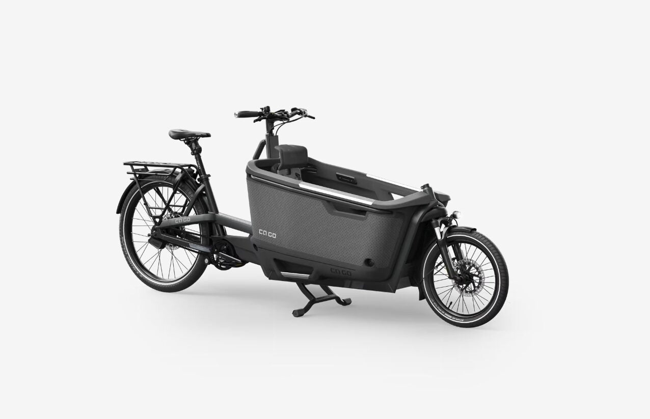 Ca Go - FS200 Life Family Edition 5 - Lastenrad