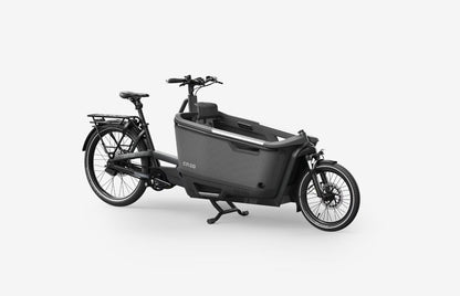 Ca Go - FS200 Life Family Edition 5 - Lastenrad