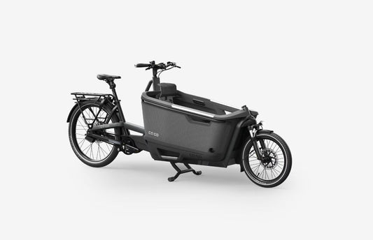 Ca Go - FS200 Life Family Edition 5 - Lastenrad