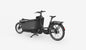 Ca Go - FS200 Life Family Edition 5 - Lastenrad