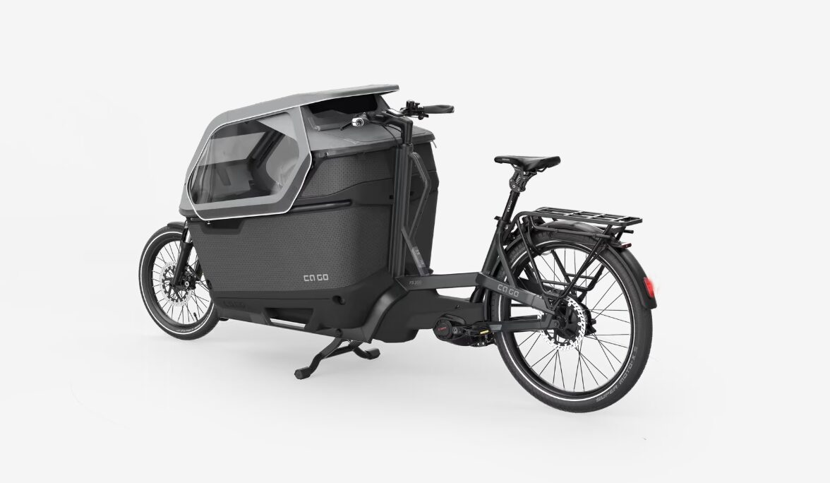 Ca Go FS200 Edition 5 Life Family Plus Lastenrad – Ansicht 3