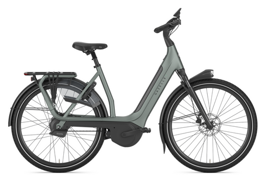 Avignon C380+ - Damenrad E-Bike - twilight green - Modell 2026