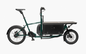 E-Muli St pro BOX Cargobike Lastenrad in Pinetree mit großer Transportbox