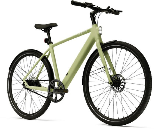 Tenways CGO600PRO Diamant – Riemenantrieb Gates & Mivice-Motor | Grün
